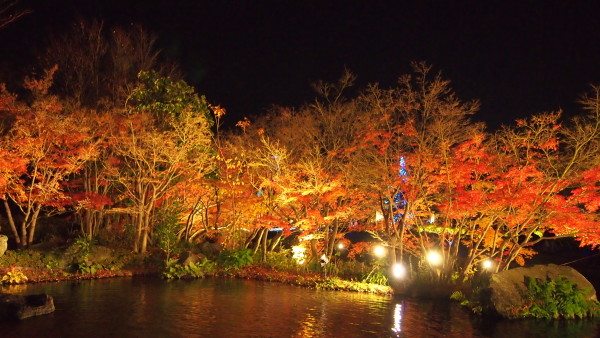 Nabana no Sato winter illumination, Nagashima near Nagoya, Japan