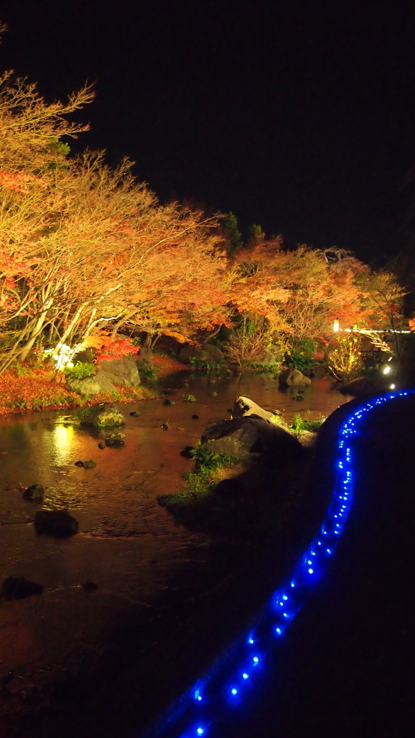 Nabana no Sato winter illumination, Nagashima near Nagoya, Japan