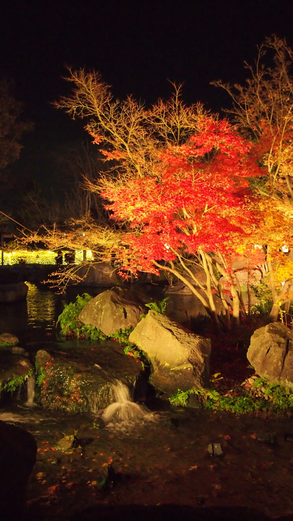 Nabana no Sato winter illumination, Nagashima near Nagoya, Japan