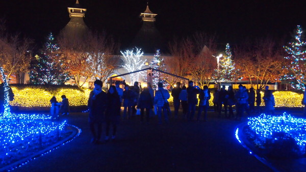 Nabana no Sato winter illumination, Nagashima near Nagoya, Japan