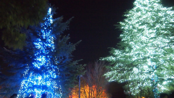 Nabana no Sato winter illumination, Nagashima near Nagoya, Japan