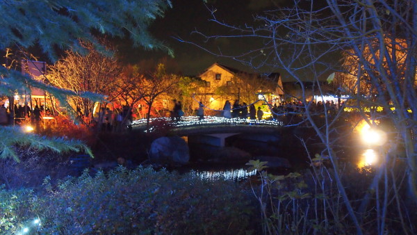 Nabana no Sato winter illumination, Nagashima near Nagoya, Japan