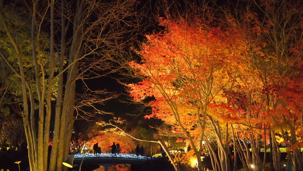 Nabana no Sato winter illumination, Nagashima near Nagoya, Japan