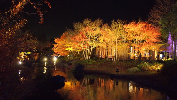 Nabana no Sato winter illumination, Nagashima near Nagoya, Japan