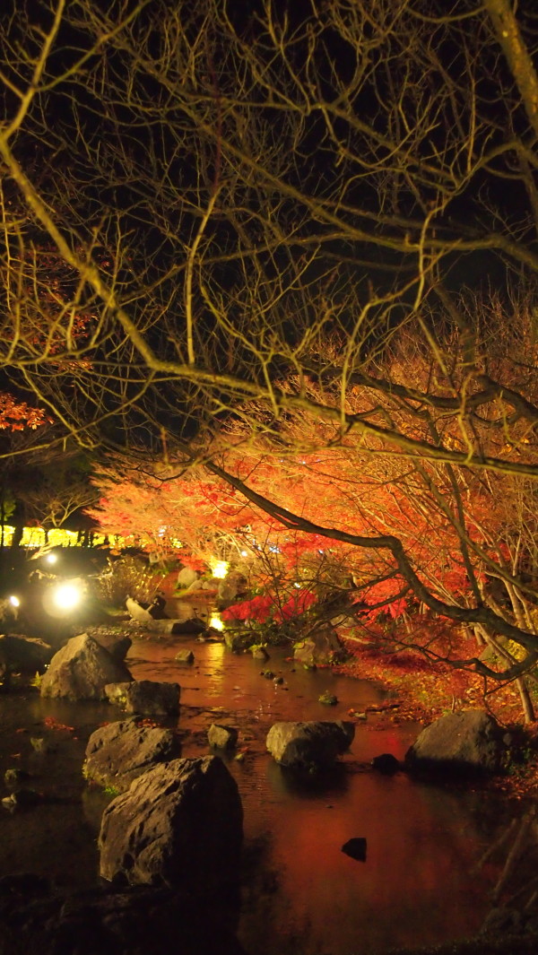 Nabana no Sato winter illumination, Nagashima near Nagoya, Japan