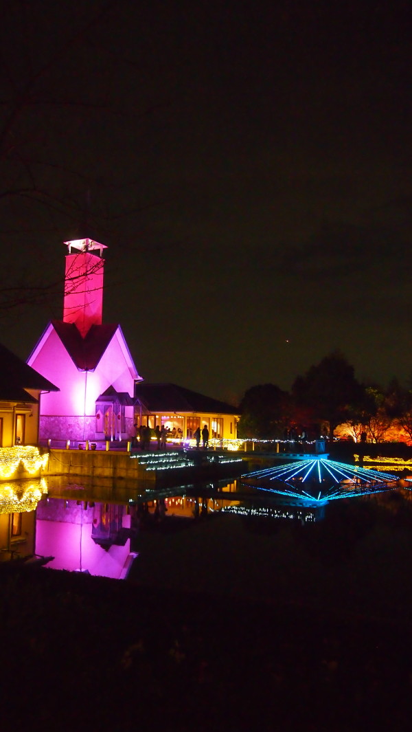 Nabana no Sato winter illumination, Nagashima near Nagoya, Japan