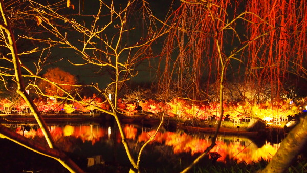 Nabana no Sato winter illumination, Nagashima near Nagoya, Japan