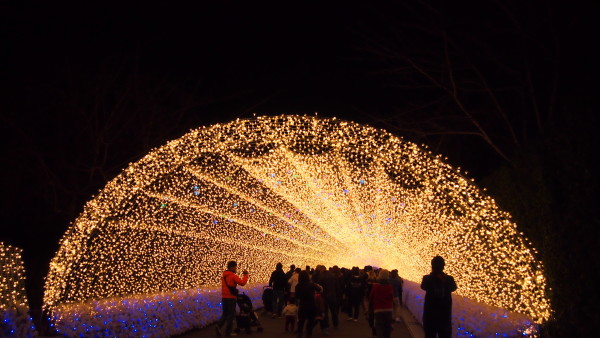 Nabana no Sato winter illumination, Nagashima near Nagoya, Japan