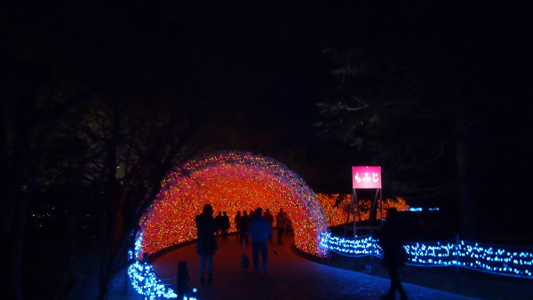 Nabana no Sato winter illumination, Nagashima near Nagoya, Japan