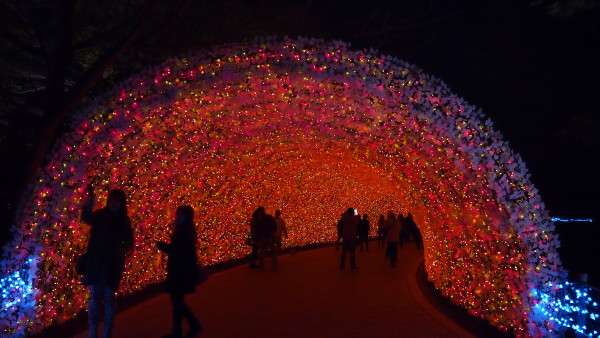 Nabana no Sato winter illumination, Nagashima near Nagoya, Japan