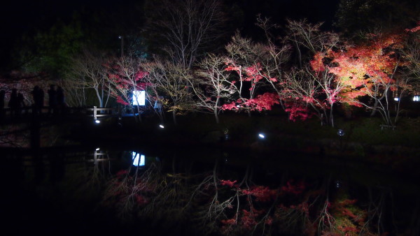 Nabana no Sato winter illumination, Nagashima near Nagoya, Japan