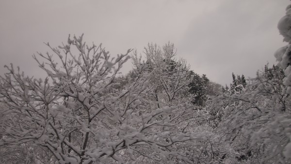 Shirakawa-go, Gifu, Japan