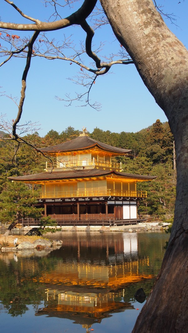 Kinkakuji (Golden Pavilion), Kyoto, Japan