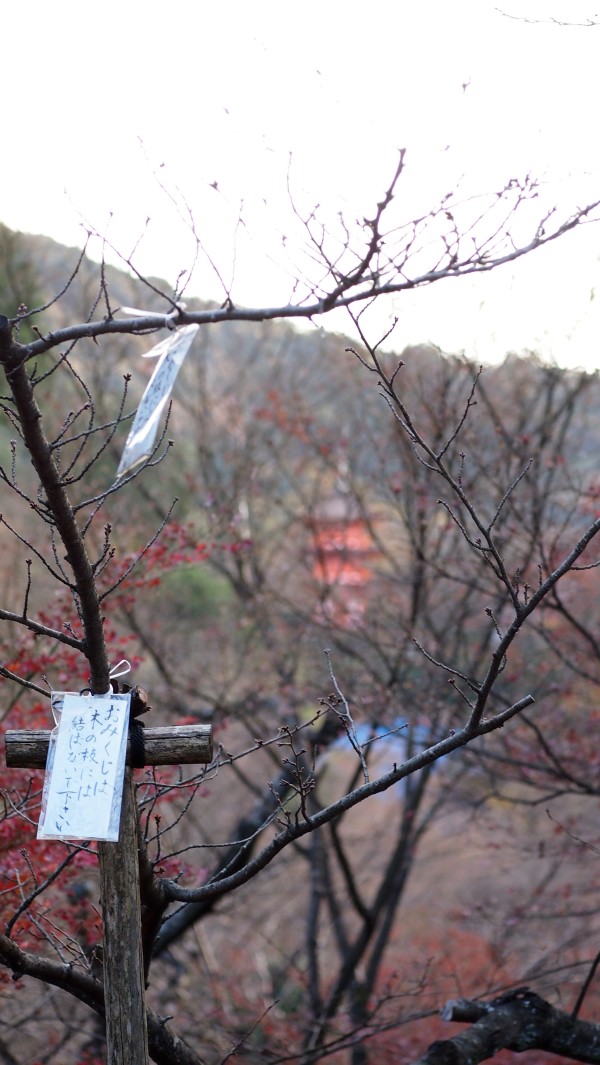 Kiyomizu-dera, Kyoto, Japan