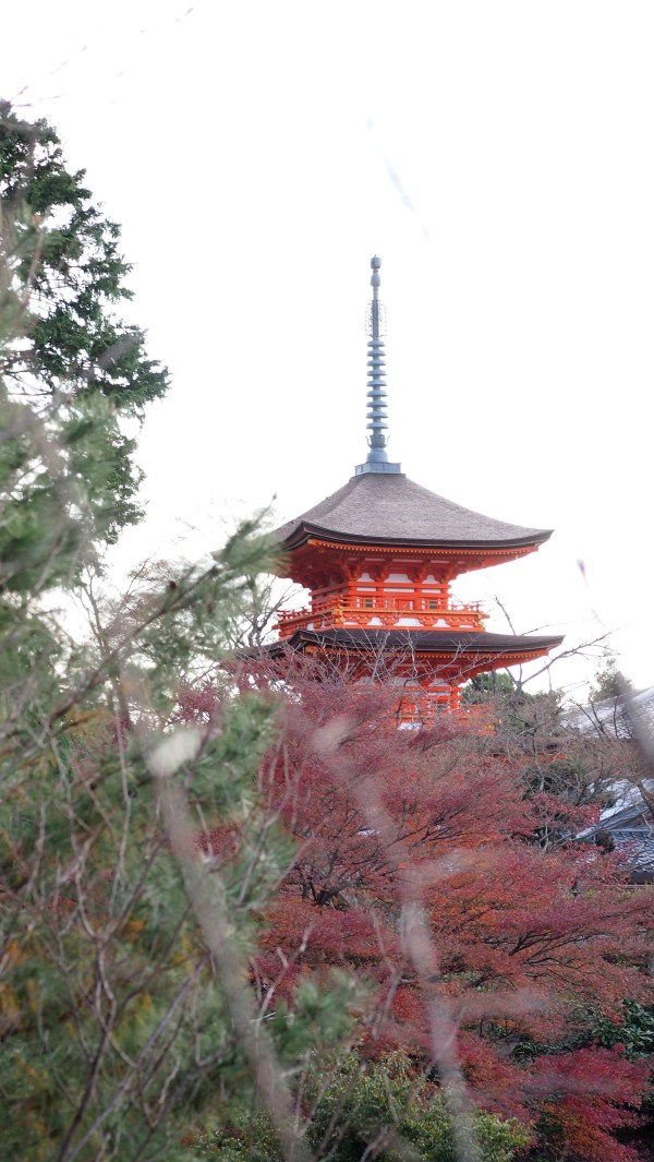 Kiyomizu-dera, Kyoto, Japan