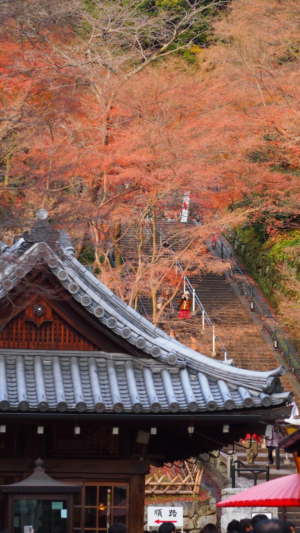 Kiyomizu-dera, Kyoto, Japan