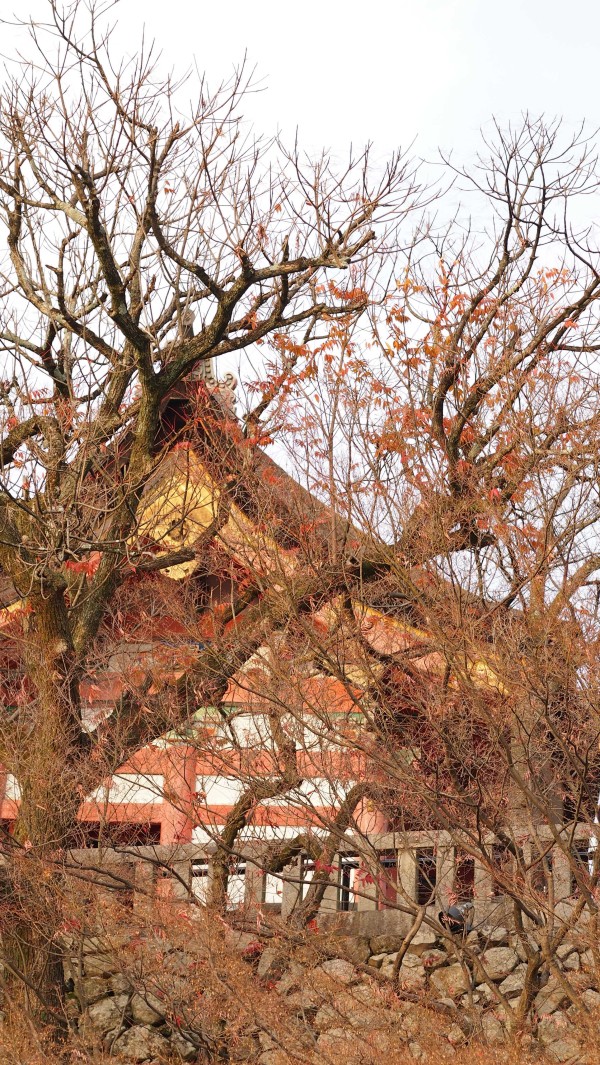 Kiyomizu-dera, Kyoto, Japan