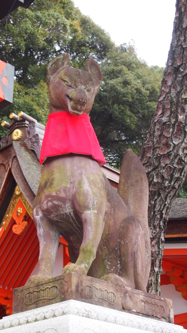 Fushimi Inari, Kyoto, Japan