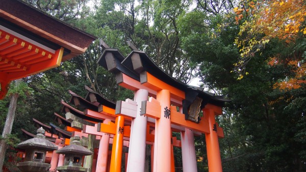 Fushimi Inari, Kyoto, Japan