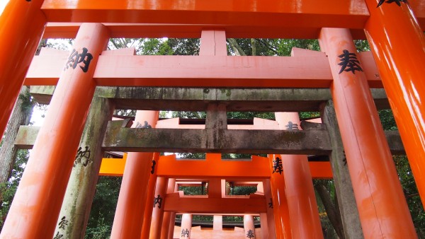 Fushimi Inari, Kyoto, Japan