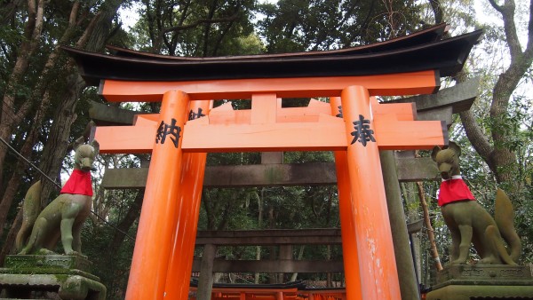 Fushimi Inari, Kyoto, Japan