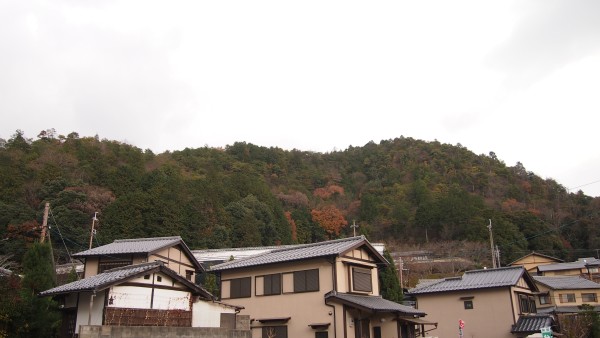 Saga-Arashiyama, Kyoto, Japan