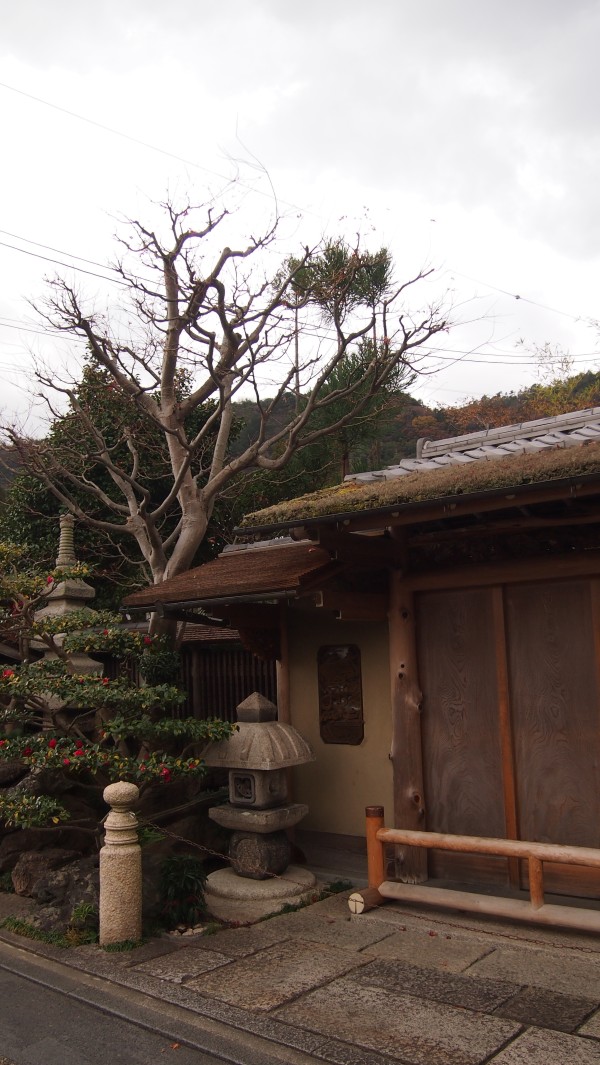 Saga-Arashiyama, Kyoto, Japan