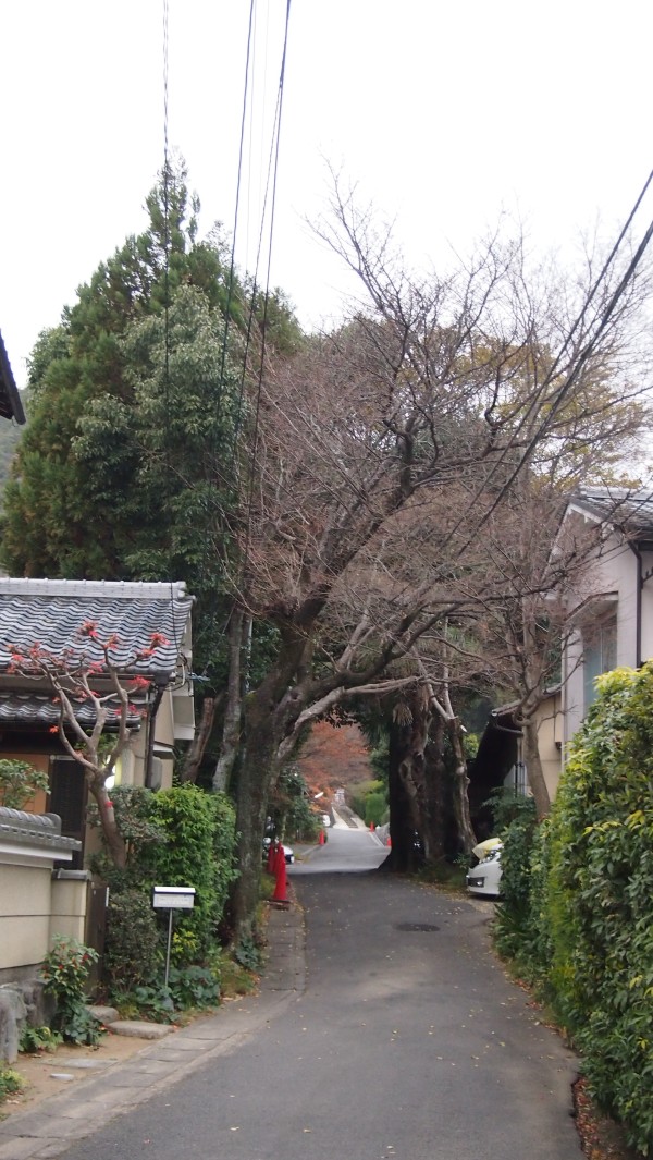 Saga-Arashiyama, Kyoto, Japan