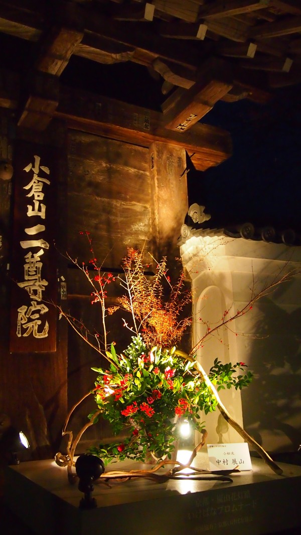 Arashiyama Hanatouro winter light festival, Kyoto, Japan