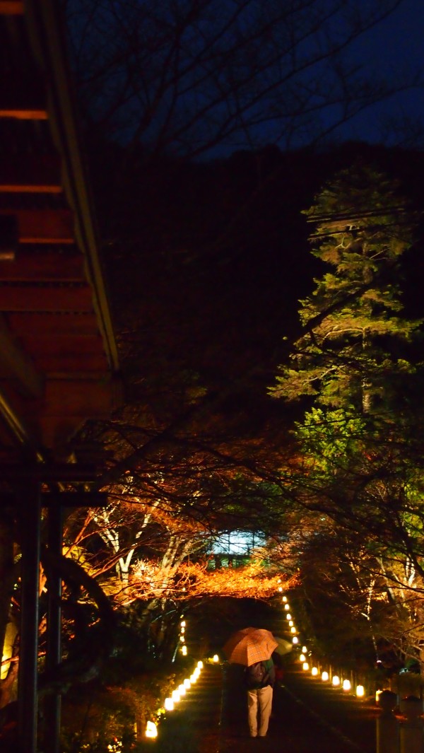 Arashiyama Hanatouro winter light festival, Kyoto, Japan