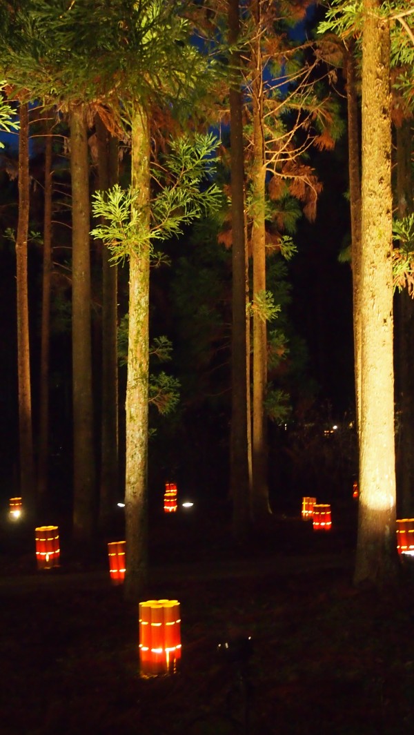 Arashiyama Hanatouro winter light festival, Kyoto, Japan