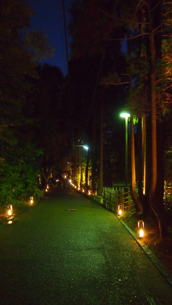 Arashiyama Hanatouro winter light festival, Kyoto, Japan