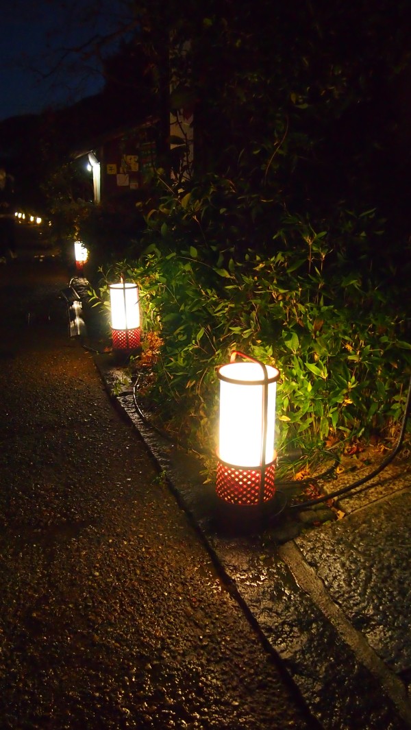 Arashiyama Hanatouro winter light festival, Kyoto, Japan