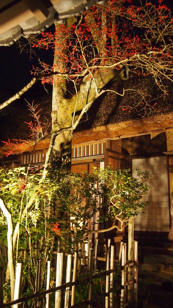 Arashiyama Hanatouro winter light festival, Kyoto, Japan