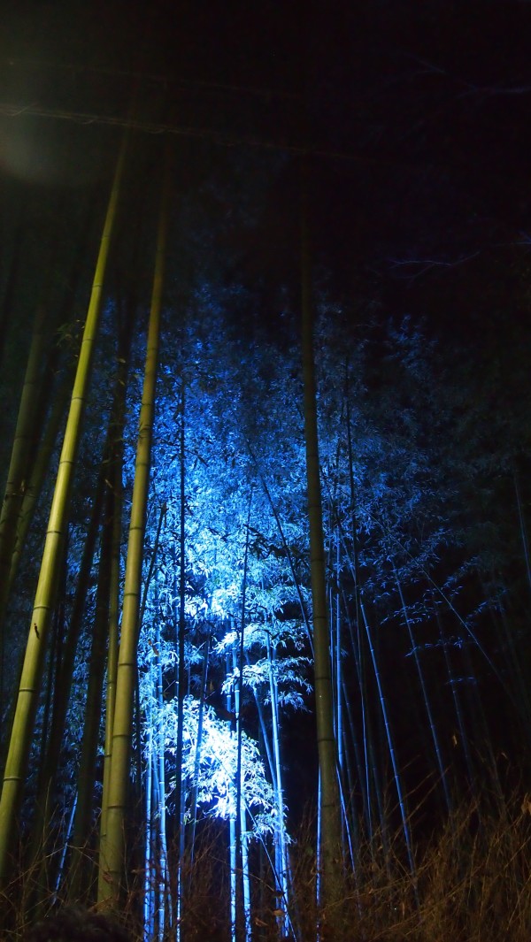 Arashiyama Hanatouro winter light festival, Kyoto, Japan