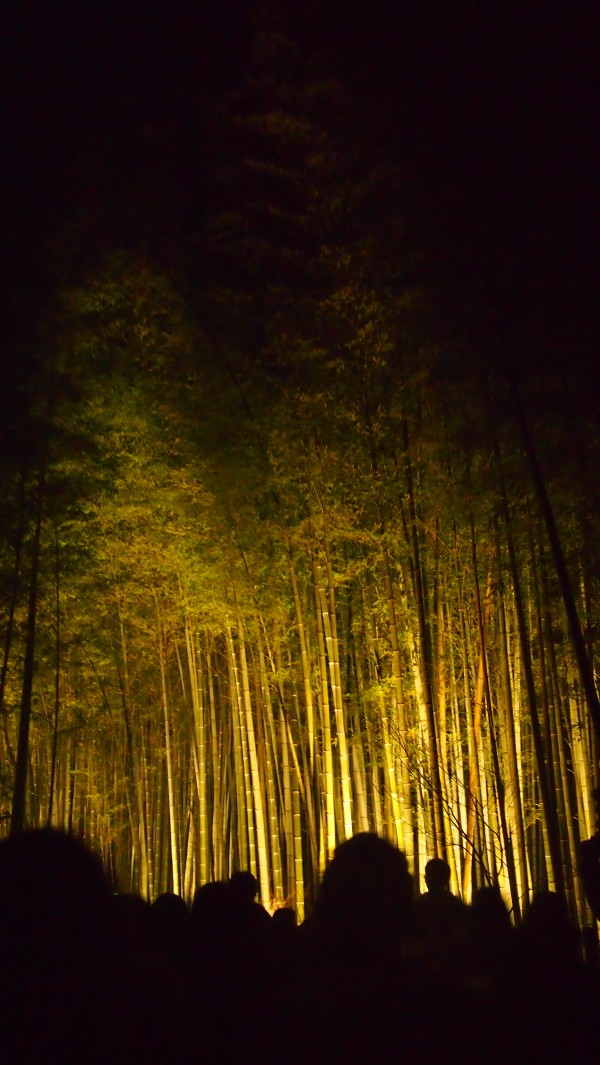 Arashiyama Hanatouro winter light festival, Kyoto, Japan