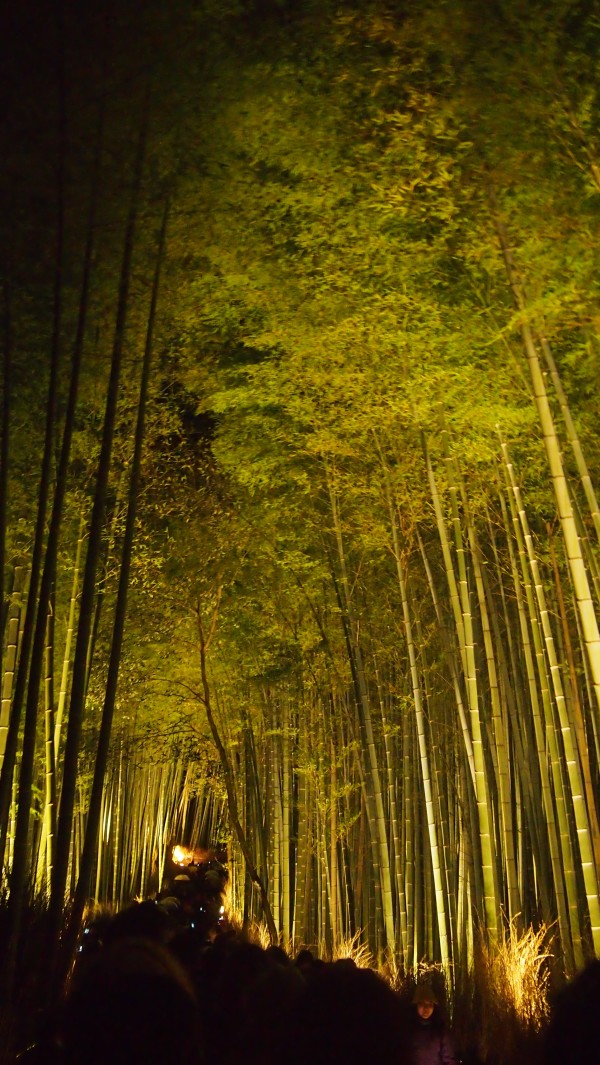 Arashiyama Hanatouro winter light festival, Kyoto, Japan