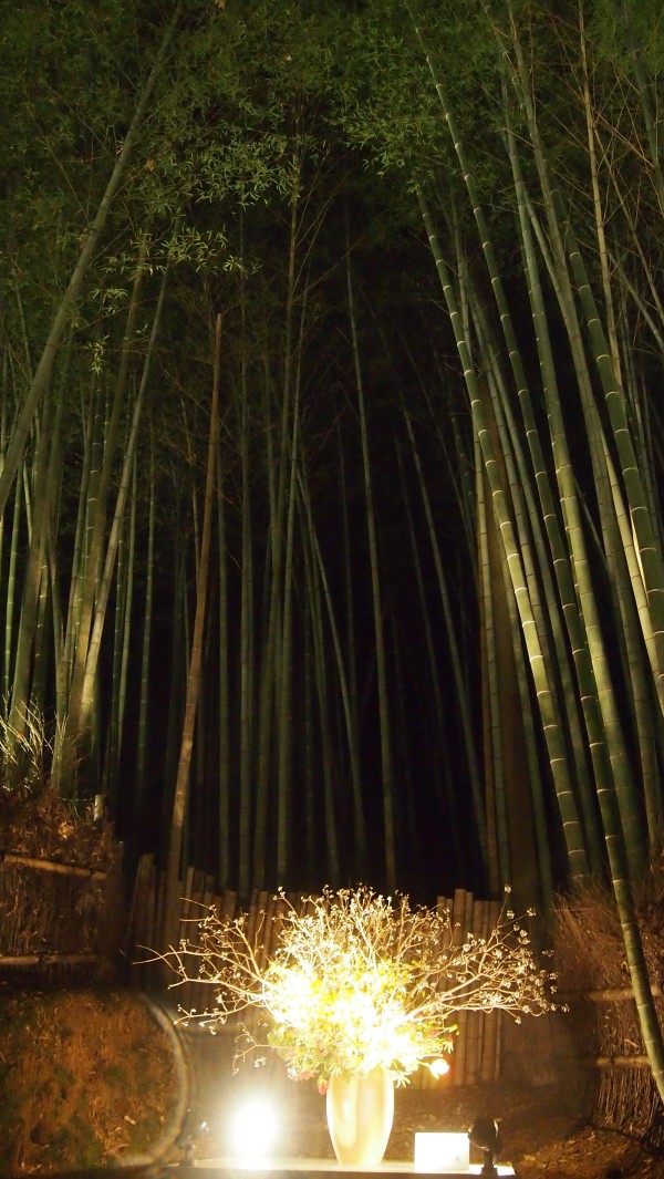 Arashiyama Hanatouro winter light festival, Kyoto, Japan