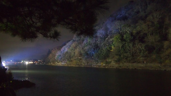 Arashiyama Hanatouro winter light festival, Kyoto, Japan