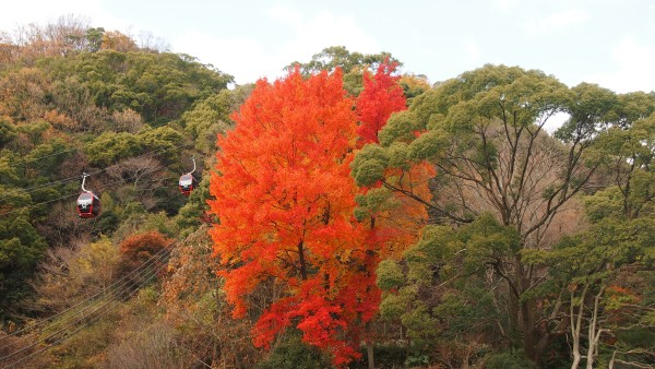 Kobe Nunobiki Herb Gardens and Ropeway, Shin-Kobe, Japan