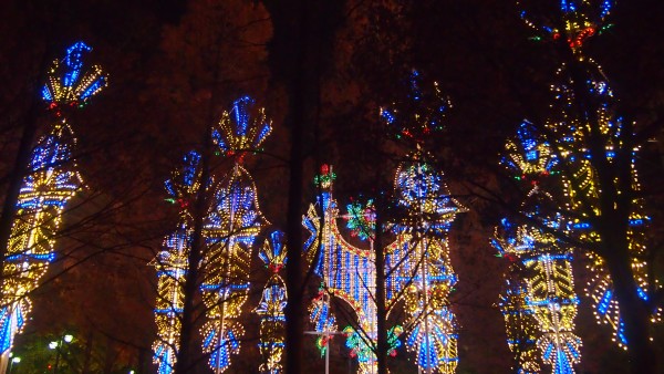 Kobe Luminaire Winter Lights Illumination Festival, Kobe, Japan