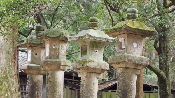 Kasuga Taisha Manyo Botanical Garden, Nara, Japan