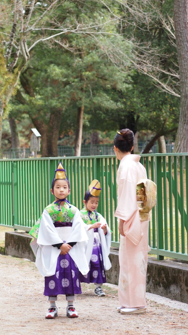 Kasuga Wakamiya On-Matsuri festival , Nara, Japan