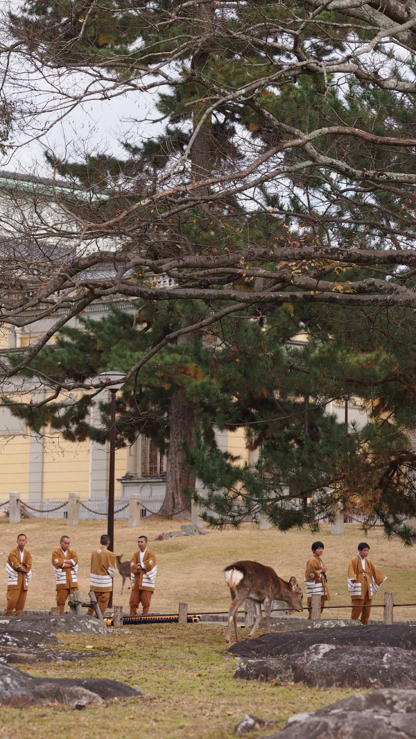 Kasuga Wakamiya On-Matsuri festival , Nara, Japan