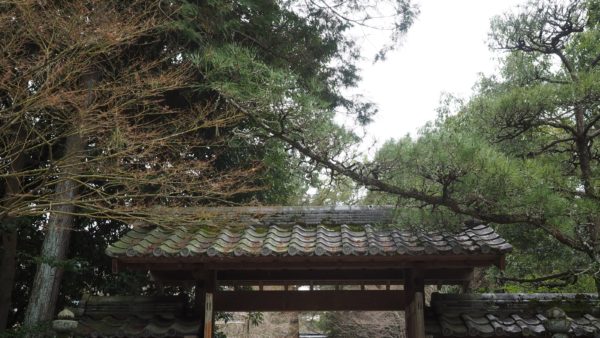 Green tea & temples at Uji in Kyoto, Japan