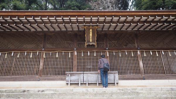 Green tea & temples at Uji in Kyoto, Japan