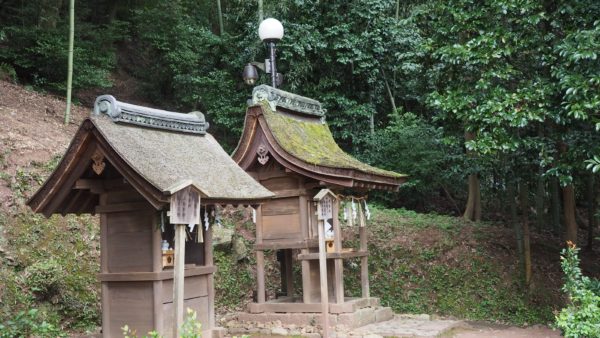 Green tea & temples at Uji in Kyoto, Japan