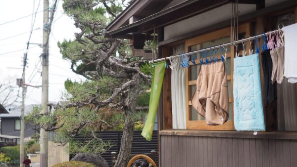 Green tea & temples at Uji in Kyoto, Japan