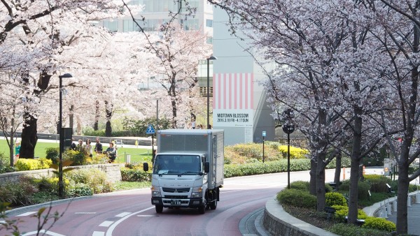Tokyo Midtown Blossom 2016 at Tokyo Midtown in Roppongi, Tokyo, Japan
