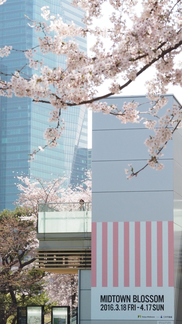 Tokyo Midtown Blossom 2016 at Tokyo Midtown in Roppongi, Tokyo, Japan